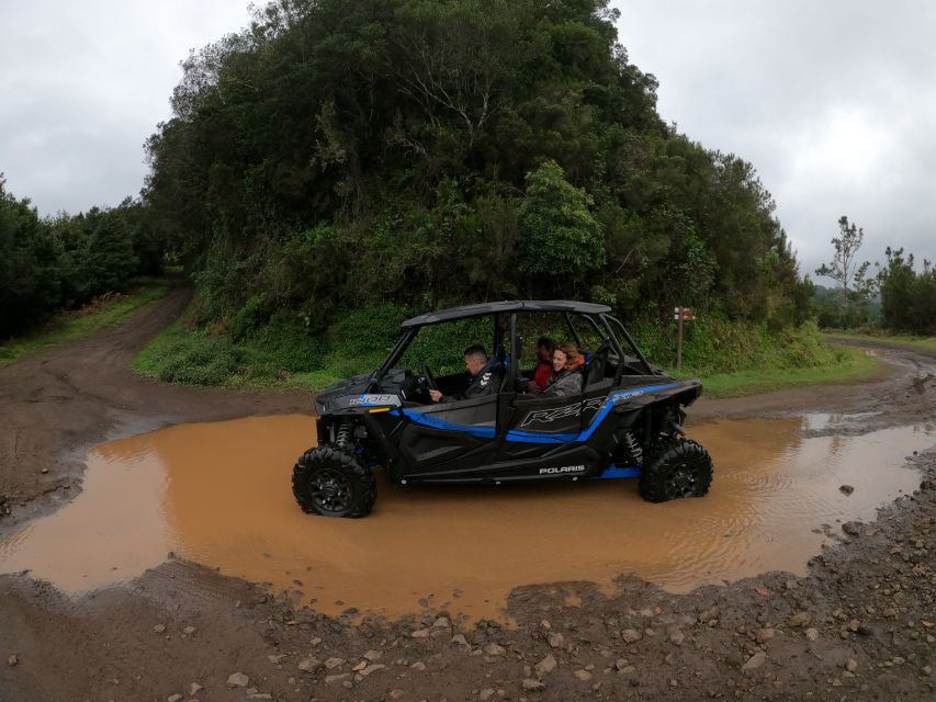 Madeira Private Buggy Adventure: Mountains and Forests - Driving vs. Riding: You Choose How Adventurous You Get
