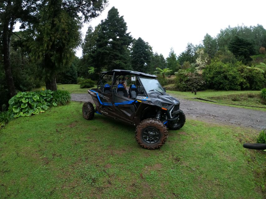 Madeira Private Buggy Adventure: Mountains and Forests - Funchal to Pico Alto: Your First View Hits Fast