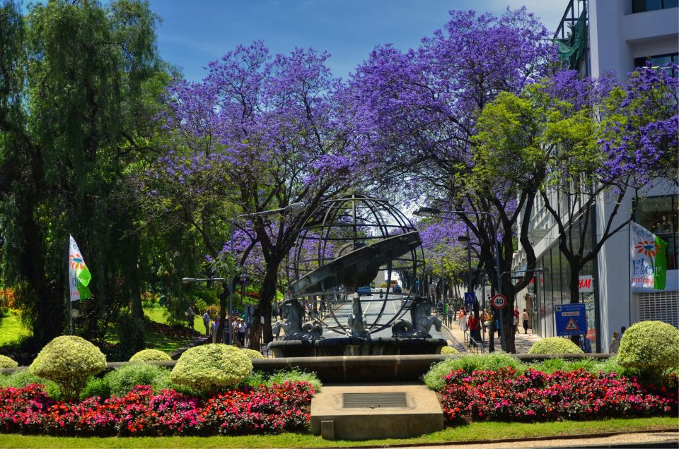 Madeira: Private Funchal City Tour in a Tukxi - Who should book this private Funchal Tukxi tour