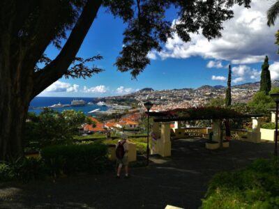 Madeira: Private Funchal City Tour in a Tukxi - Pickup, meeting, and how the tour is structured