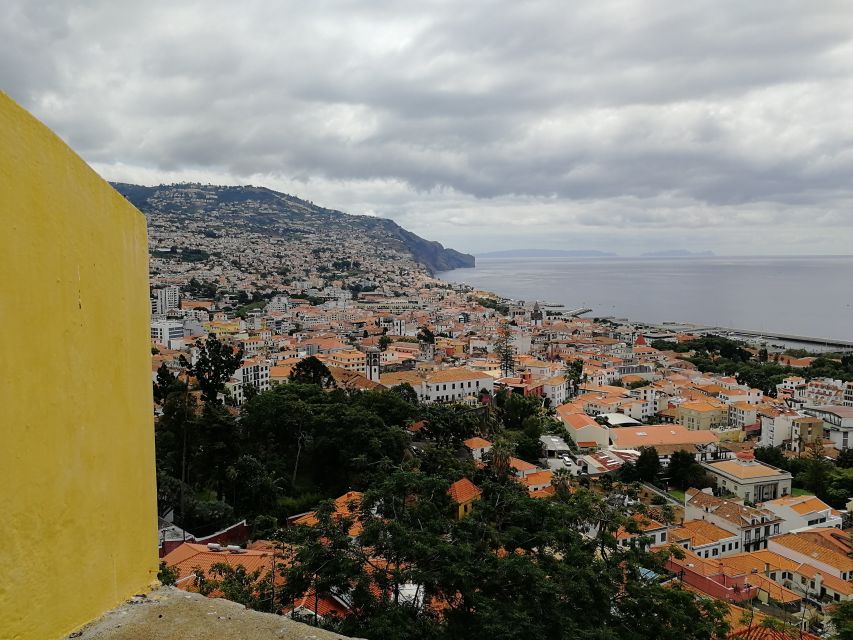 Madeira: Private Funchal City Tour in a Tukxi - Funchal Cathedral and the Mercado dos Lavradores: center-city meaning