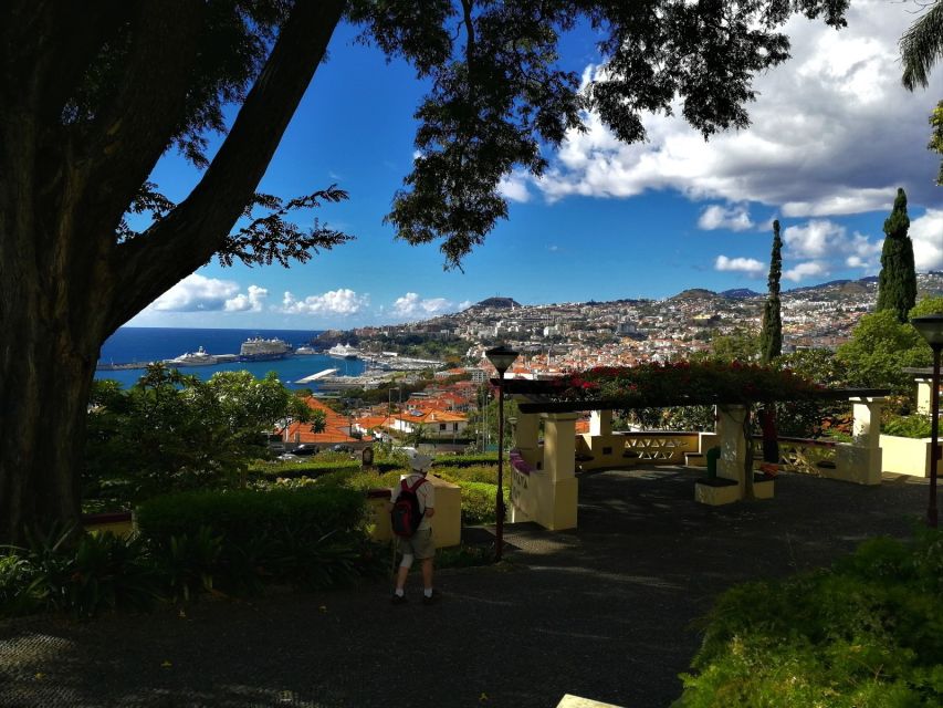 Madeira: Private Funchal City Tour in a Tukxi - Pickup, meeting, and how the tour is structured
