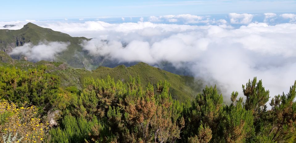 Madeira: Private Guided Achadas Teixeira - Pico Ruivo PR1.1 - Private comfort: what you gain from a private tour