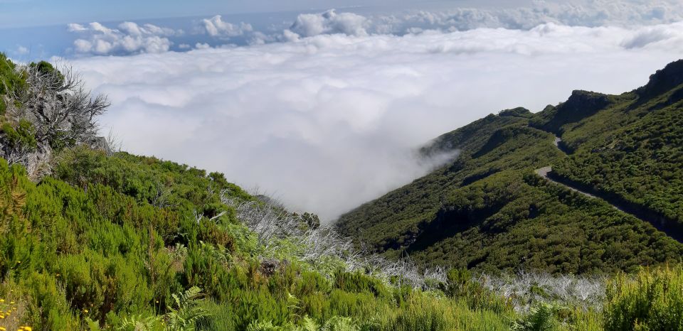 Madeira: Private Guided Achadas Teixeira - Pico Ruivo PR1.1 - Getting to the start: cruise pier pickup and private guidance