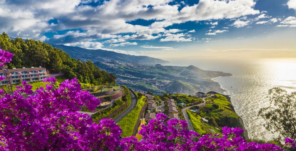 Madeira: Private Guided Cabo Girão Tour - Key highlights you’ll care about