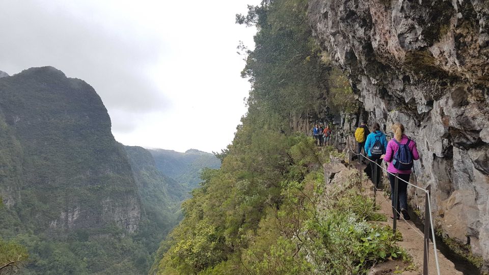 Madeira: Private Guided Levada Caldeirão Verde Walk PR9 - Key highlights worth knowing