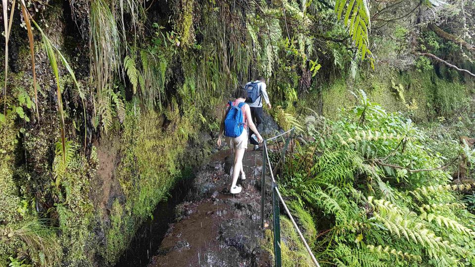 Madeira: Private Guided Levada Caldeirão Verde Walk PR9 - Queimadas to Caldeirão Verde: the PR9 hike in real life
