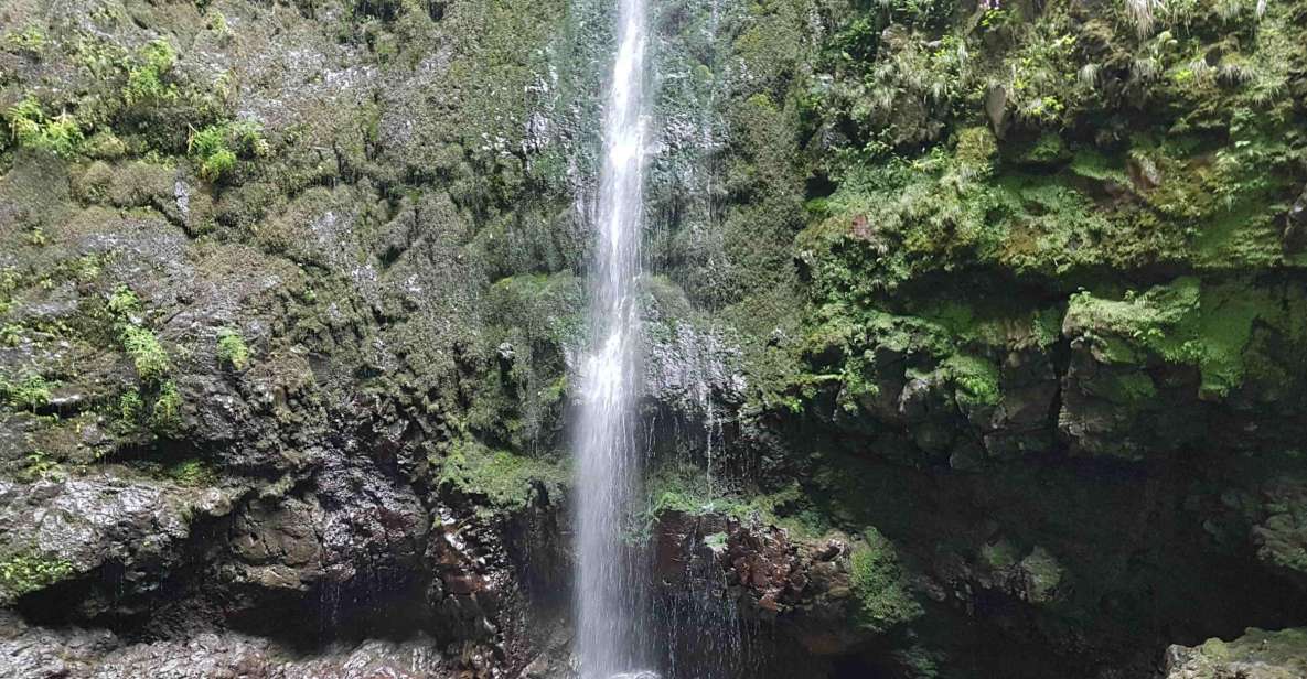 Madeira: Private Guided Levada Caldeirão Verde Walk PR9 - Tunnels, helmets, and why your flashlight matters