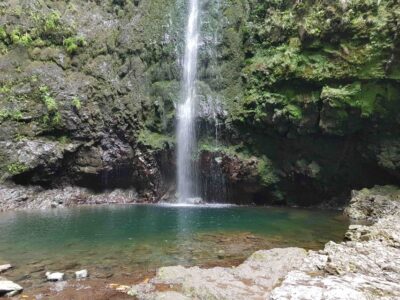 Madeira: Private Guided Levada Caldeirão Verde Walk PR9 - Madeira Laurissilva views plus water on every section