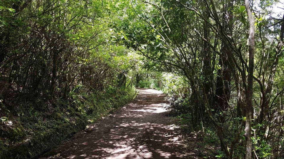Madeira: Private Guided Levada Caldeirão Verde Walk PR9 - Timing reality: 6 hours on paper, more on the ground