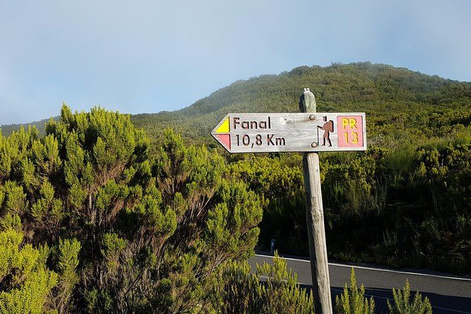 Madeira: Private Guided Walk Vereda Fanal PR13 - Key highlights to know before you go