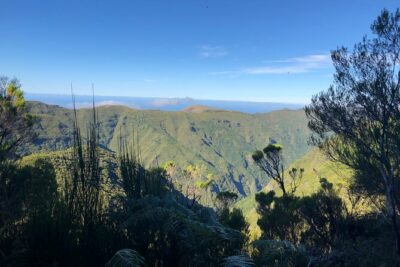 Madeira: Private Guided Walk Vereda Fanal PR13 - Vereda Fanal PR13: what the terrain actually asks of you