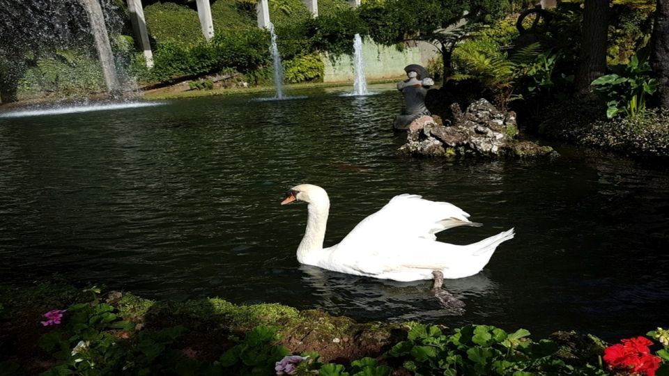 Madeira: Private Half-Day Guided Gardens Tour - Key highlights you’ll actually care about