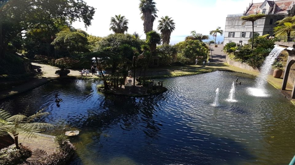 Madeira: Private Half-Day Guided Gardens Tour - A half-day gardens plan that doesn’t waste your time