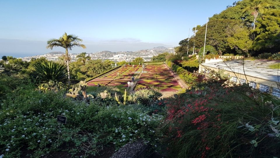 Madeira: Private Half-Day Guided Gardens Tour - The animals moment: ducks, swans, peacocks, and chickens