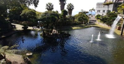 Madeira: Private Half-Day Guided Gardens Tour - Where it starts: Monte Palace Tropical Garden