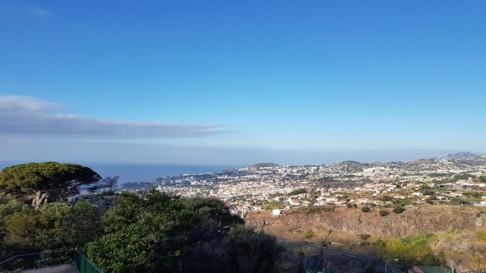 Madeira: Private Half-Day Guided Gardens Tour - How the Portuguese design and plant stories work together