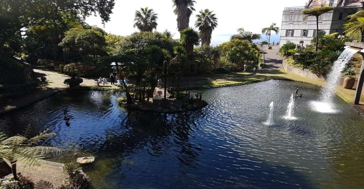 Madeira: Private Half-Day Guided Gardens Tour - Where it starts: Monte Palace Tropical Garden