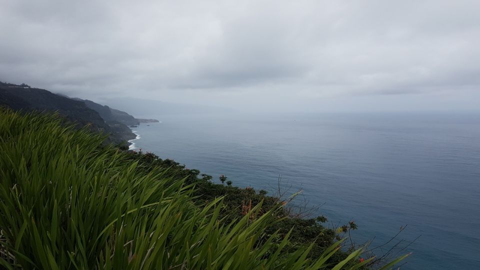 Madeira: Private Half-Day North East Island Tour - Price and value: $235 for a small group with real logistics handled