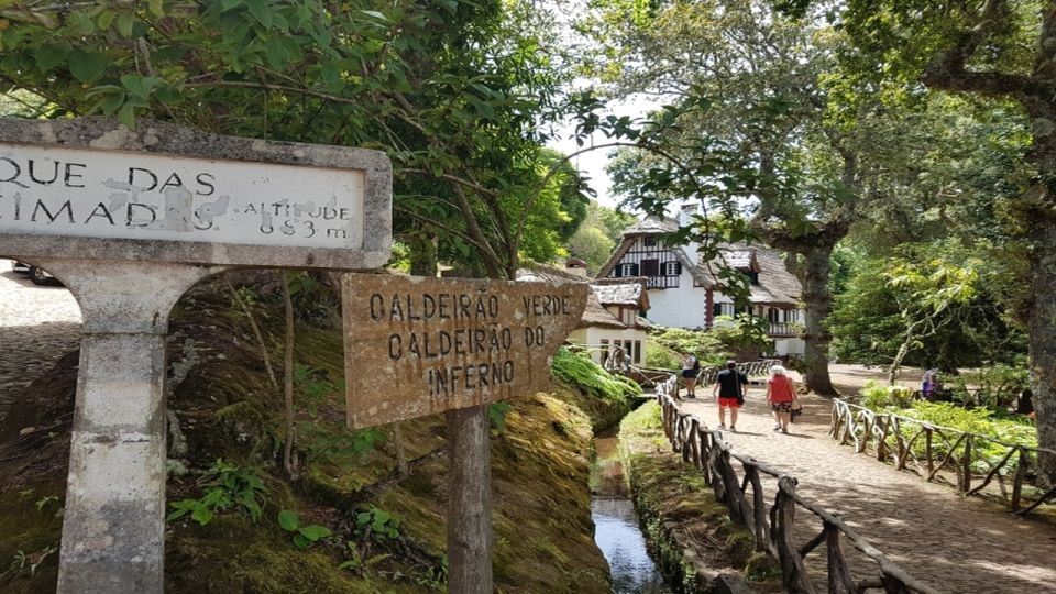 Madeira: Private Half-Day North East Island Tour - What to bring (and what to expect) for a smooth north-east outing