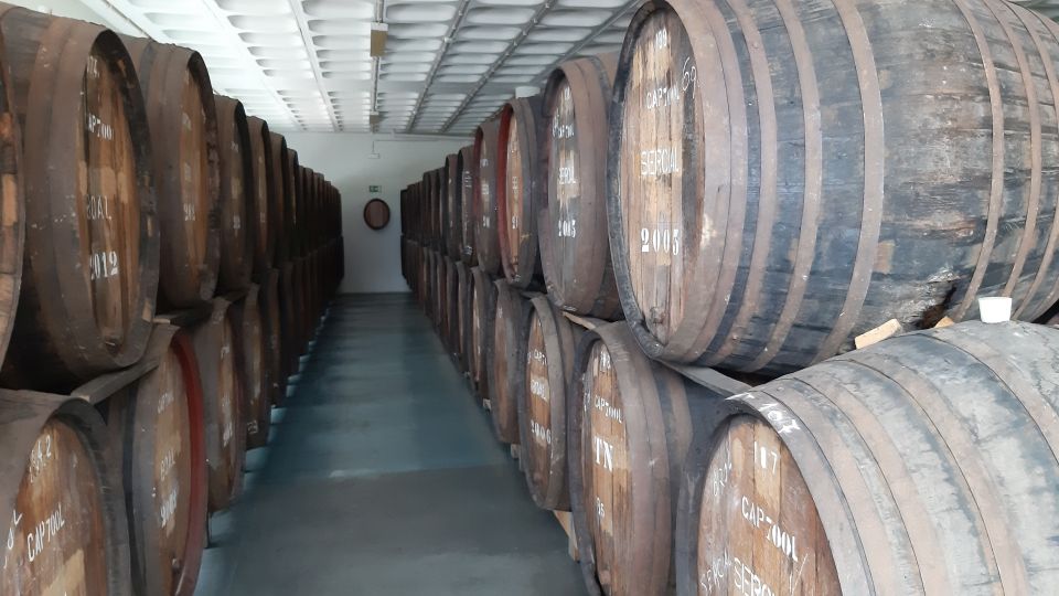 Madeira: Private Half-Day Wine Tasting Tour - Key Points Worth Knowing Before You Go