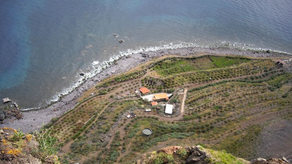 Madeira: Private Half-Day Wine Tasting Tour - Guides, Language, and the Friendly Pace