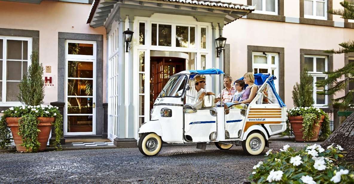 Madeira: Private Monte tour on a Tukxi - The drive up: getting your bearings over Funchal