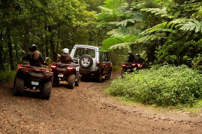 Madeira Private Off-road Quad Bike Experience - Mud, puddles, engine noise, and trail texture (the fun part)