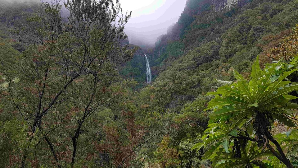 Madeira: Private Walking Tour of Levada das 25 Fontes PR6 - Levada das 25 Fontes on PR6: the real reason this hike is worth your time