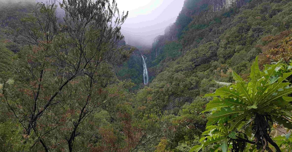 Madeira: Private Walking Tour of Levada das 25 Fontes PR6 - One last practical reality check: it’s a private vehicle day, not a picnic