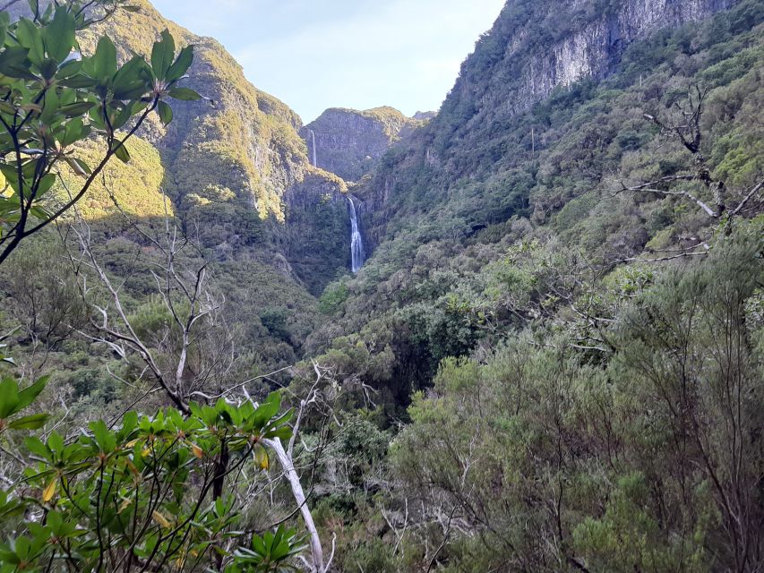 Madeira: Private Walking Tour of Levada das 25 Fontes PR6 - Starting in Rabaçal: what the first stretch feels like