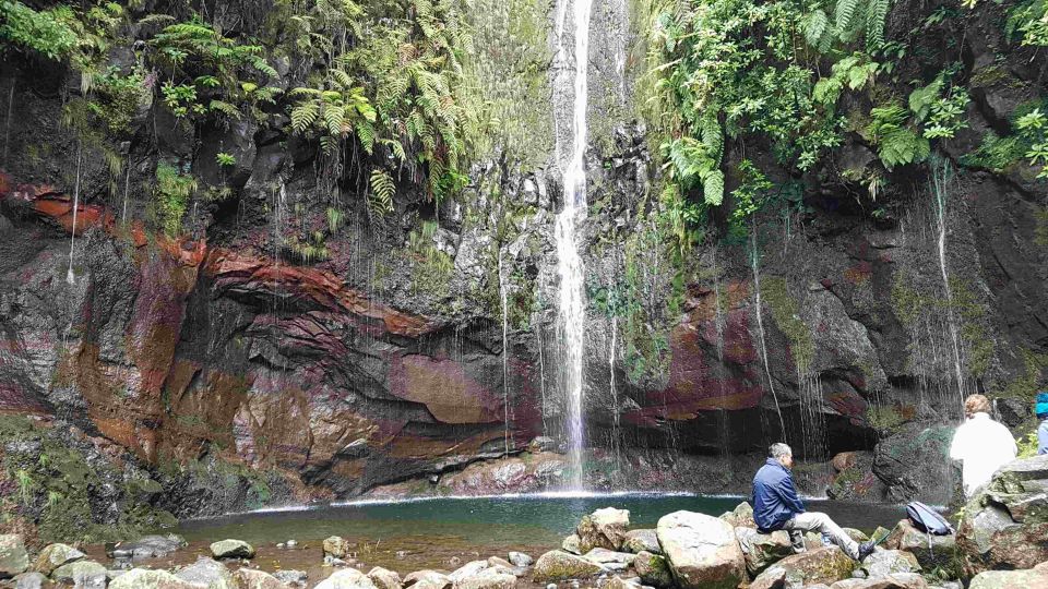 Madeira: Private Walking Tour of Levada das 25 Fontes PR6 - The value of a local driver-guide (and what guides like Richard and Marco do well)