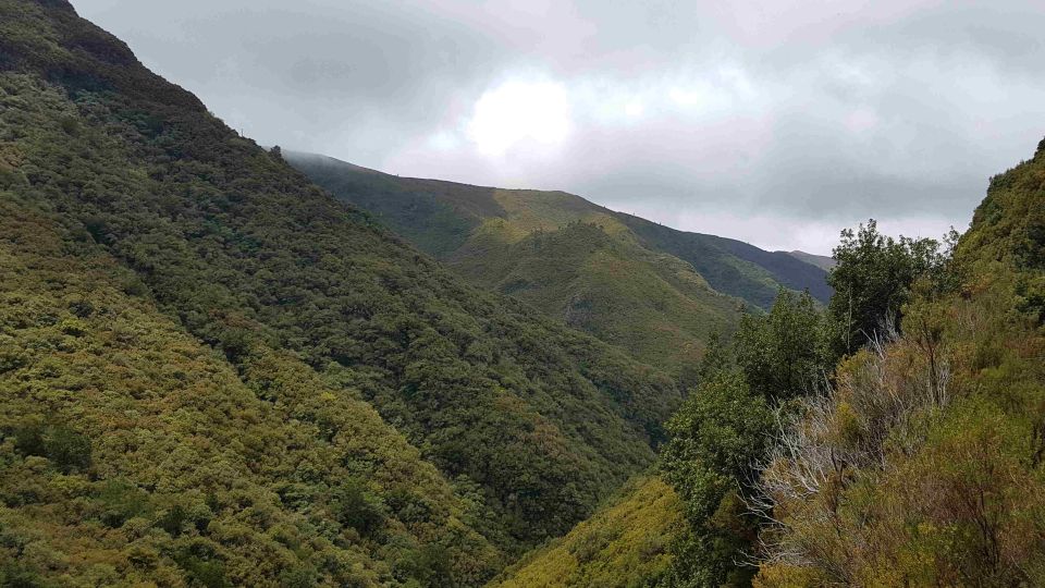 Madeira: Private Walking Tour of Levada das 25 Fontes PR6 - Price and logistics: does $117 per person make sense?