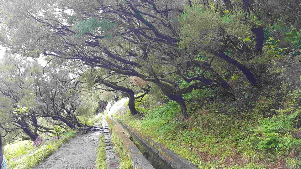 Madeira: Private Walking Tour of Levada das 25 Fontes PR6 - What to bring (and what to avoid) for PR6 comfort