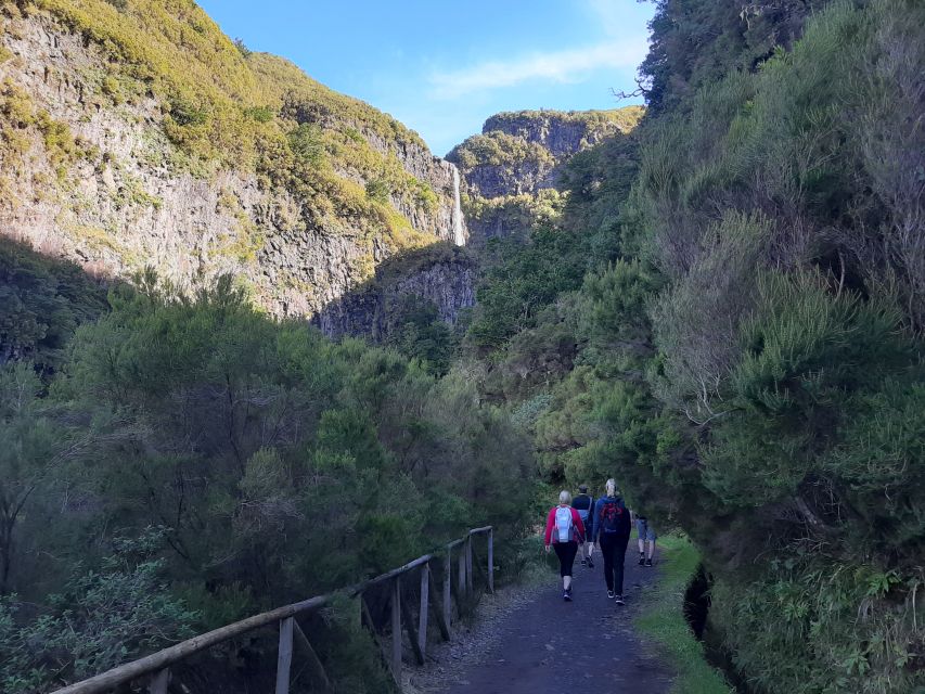 Madeira: Private Walking Tour of Levada das 25 Fontes PR6 - Following the levada: forest, native plants, and the wet tunnel moment