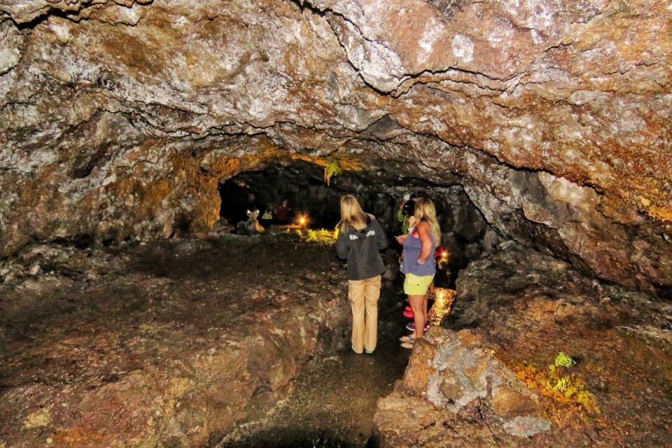 Madeira : Private wine experience by 4WD - Practical Tips to Make Your Day Better