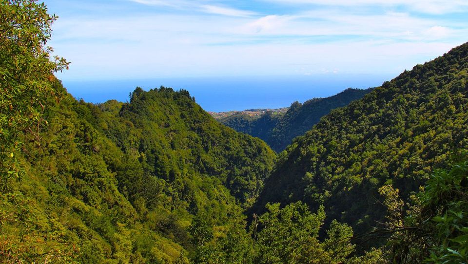 Madeira: Queimadas, Caldeirão Verde and Levada Walk - Key highlights you’ll actually feel on the walk