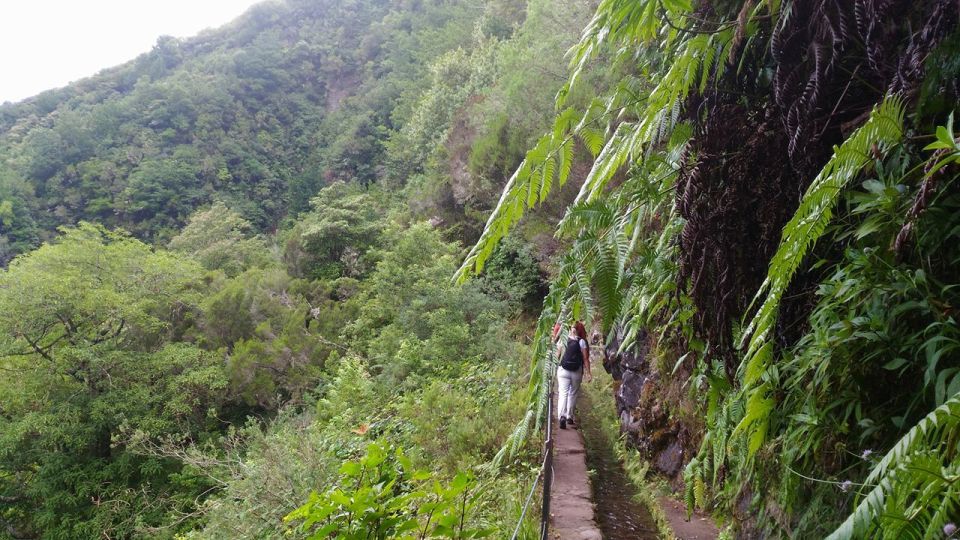 Madeira: Queimadas, Caldeirão Verde and Levada Walk - Who this tour fits best