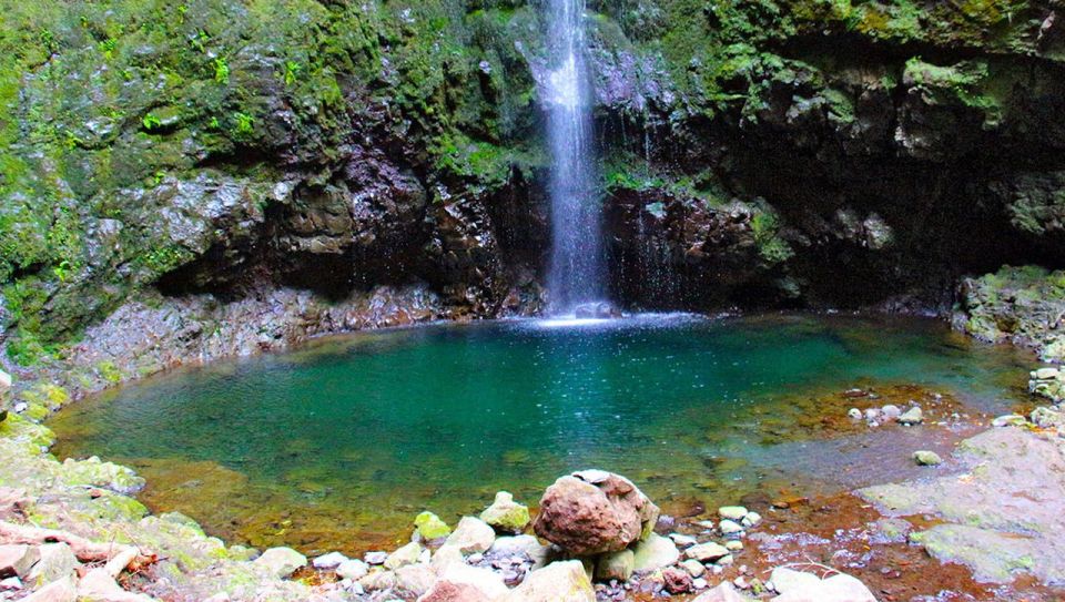 Madeira: Queimadas, Caldeirão Verde and Levada Walk - Starting at Queimadas: the day’s rhythm begins fast