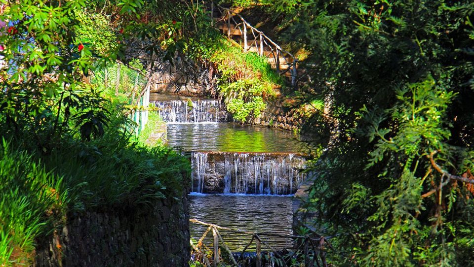 Madeira: Queimadas, Caldeirão Verde and Levada Walk - What you’ll notice beyond scenery: guide facts that make it click