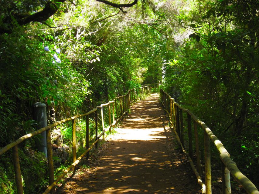 Madeira: Queimadas, Caldeirão Verde and Levada Walk - How the $50 price stacks up for this specific day