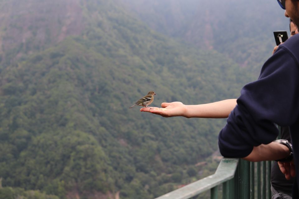 Madeira: Rabaçal 25 Fountains Levada Walk & Cabo Girão - Key Highlights You Should Care About