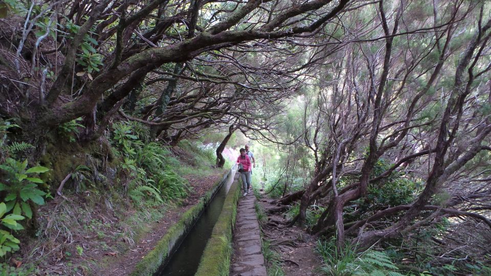 Madeira: Rabaçal 25 Fountains Levada Walk & Cabo Girão - Logistics That Affect Your Comfort: Seats, Shoes, and Rules