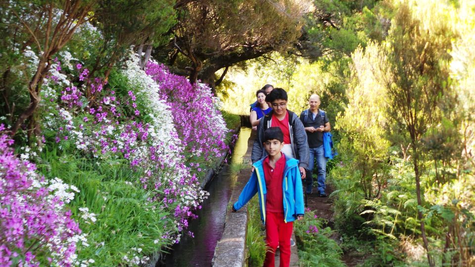 Madeira: Rabaçal 25 Fountains Levada Walk & Cabo Girão - Rabaçal and the 25 Fontes Levada Walk: Why This Route Matters