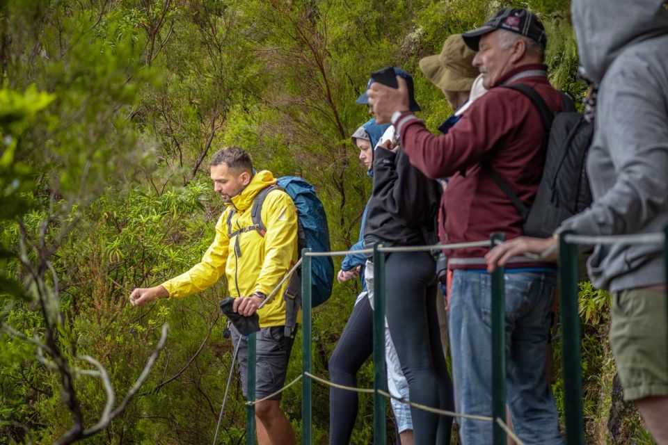 Madeira: Rabaçal 25 Fountains Levada Walk & Cabo Girão - The Off-Road Jeep Ride Down to the South Coast