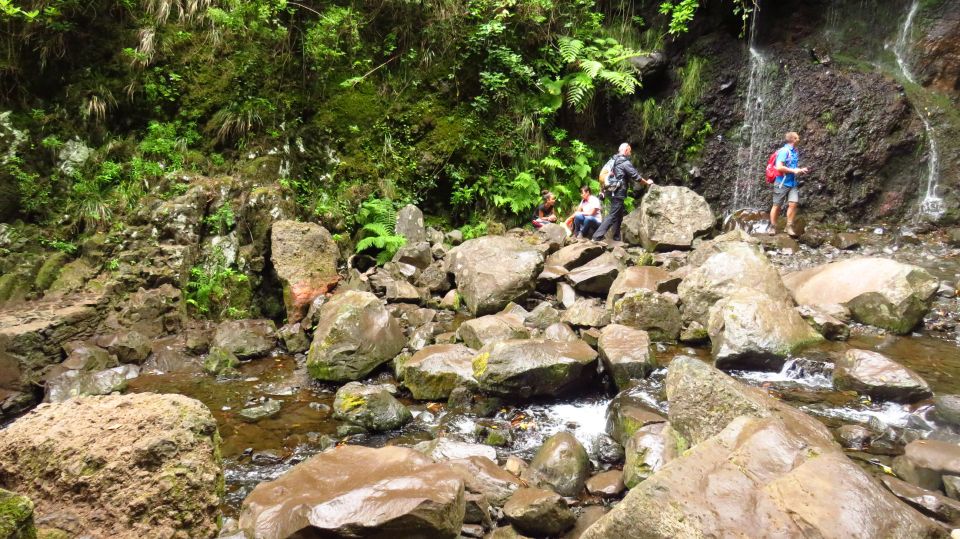 Madeira: Rabaçal, Risco and 25 Fontes Guided Hiking Tour - Price and value: is $47 per person worth it?