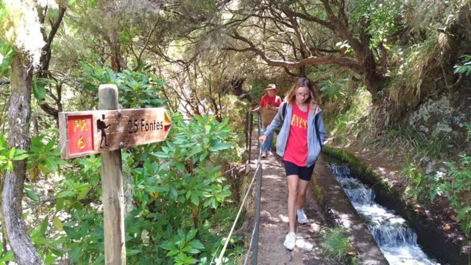 Madeira: Rabaçal, Risco and 25 Fontes Guided Hiking Tour - Getting there: pickup options and the day’s rhythm