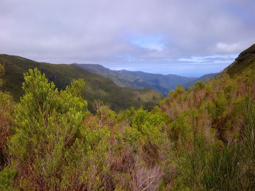 Madeira: Rabaçal Valleys 3-Hour Guided Walk - Key things I’d focus on before you go