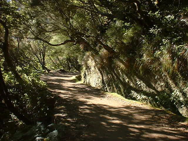 Madeira: Rabaçal Valleys 3-Hour Guided Walk - Price and value: what $48 gets you (and what it doesn’t)