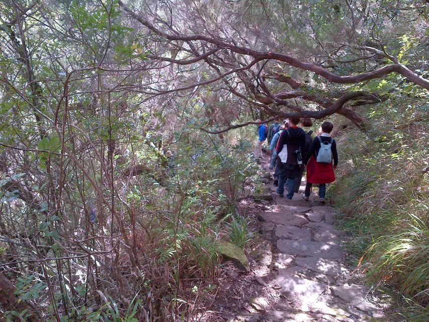 Madeira: Rabaçal Valleys 3-Hour Guided Walk - Who this Rabaçal walk suits best